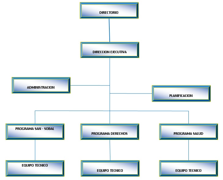 ORGANIGRAMA